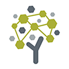YM logo